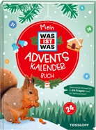 Florian Kinast - Mein WAS IST WAS Adventskalenderbuch 2