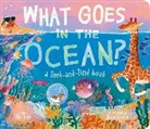 Dori Elys, Katie Cottle - What Goes in the Ocean?