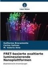 M Valer Ame, M. Valeria Ame, Guillermo Bracamonte, Carina Salinas - FRET-basierte exaltierte lumineszierende Nanoplattformen