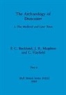 P. C. Buckland, C. C. Hayfield, J. R. Magilton - The Archaeology of Doncaster, Part ii