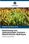 Itzayana González Avila - Gewinnung von reduzierenden Zuckern - Überkritische Hydrolyse