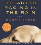 Garth Stein, Garth/ Welch Stein, Christopher Evan Welch - The Art of Racing in the Rain (Hörbuch)