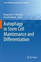 Bhupendra V. Shravage, Turksen, Kursad Turksen, Bhupendra V Shravage - Autophagy in Stem Cell Maintenance and Differentiation