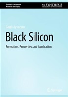 Gagik Ayvazyan - Black Silicon