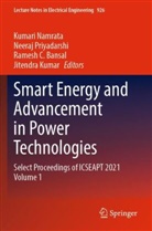 Ramesh C. Bansal, Ramesh C Bansal et al, Jitendra Kumar, Kumari Namrata, Neeraj Priyadarshi - Smart Energy and Advancement in Power Technologies
