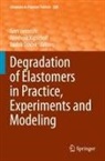 Gert Heinrich, Reinhold Kipscholl, Radek Sto¿ek, Radek Stocek - Degradation of Elastomers in Practice, Experiments and Modeling