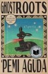 Pemi Aguda, 'Pemi Aguda - Ghostroots