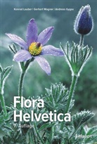 Andreas Gygax, Konrad Lauber, Gerhart Wagner - Flora Helvetica - Illustrierte Flora der Schweiz