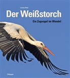 Lorenz Heer - Der Weißstorch