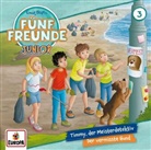 Fünf Freunde JUNIOR - Timmy, der Meisterdetektiv/Der vermisste Hund, 1 Audio-CD (Hörbuch)