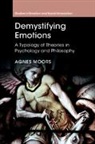Agnes Moors, Agnes (Ku Leuven Moors - Demystifying Emotions