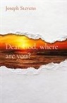 Joseph P Stevens - Dear God, where are you?