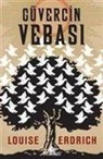 Louise Erdrich - Güvercin Vebasi