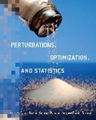 Tamir Hazan, George Papandreou, Daniel Tarlow, Hazan Tamir, Papandreou George, Tarlow Daniel - Perturbations, Optimization, and Statistics