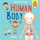 David Hawcock - Human Body