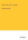 Joseph H. Allen, James B. Greenough - A Latin Grammar