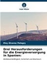 Eloy Álvarez Pelegry - Drei Herausforderungen für die Energieversorgung in Spanien: