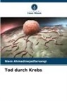 Niem Ahmadinejadfarsangi - Tod durch Krebs
