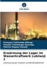Patrick Mupoyi Kazadi, François Tshilumba Bilengi, Fau TSHIMANGA KASONGA, Faustin Tshimanga Kasonga - Erwärmung der Lager im Wasserkraftwerk Lubilanji 1