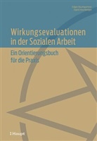 Edgar Baumgartner, Sigrid Haunberger - Wirkungsevaluationen in der Sozialen Arbeit