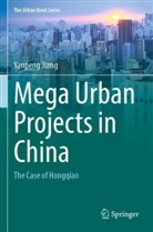 Yanpeng Jiang - Mega Urban Projects in China