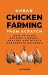 Lady Rachael - Urban Chicken Farming From Scratch