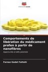 Farnaz-Sadat Fattahi - Comportements de libération du médicament profen à partir de nanofibres