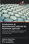 Jair C. C. Freitas, Gilberto Maia Brito, M. A. Schettino, M. A. Schettino Jr. - Produzione di biocarburanti attivati da biomasse agricole