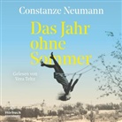 Constanze Neumann, Vera Teltz - Das Jahr ohne Sommer, 1 Audio-CD, 1 MP3 (Audio book)