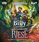 Jamie Oliver, Mónica Armiño, Steffen Groth - Billy und der geheimnisvolle Riese (Teil 1), 1 Audio-CD, 1 MP3 (Hörbuch)