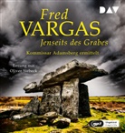 Fred Vargas, Oliver Siebeck - Jenseits des Grabes - Kommissar Adamsberg, 2 Audio-CD, 2 MP3 (Audio book)