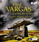 Fred Vargas, Oliver Siebeck - Jenseits des Grabes - Kommissar Adamsberg, 2 Audio-CD, 2 MP3 (Hörbuch)