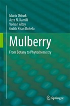 Volkan Altay, Volkan et al Altay, Azra N Kamili, Azra N. Kamili, Munir Ozturk, Gulab Khan Rohela - Mulberry