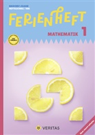 Claudia Sendner - Mathematik Ferienhefte - AHS / NMS - 5. Schuljahr