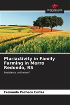 Fernando Pacheco Cortez - Pluriactivity in Family Farming in Morro Redondo, RS