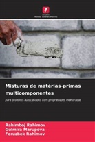 Gulmira Marupova, Feruzbek Rahimov, Rahimboj Rahimov - Misturas de matérias-primas multicomponentes