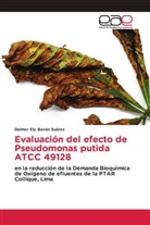 Daimer Ely Bazán Suárez - Evaluación del efecto de Pseudomonas putida ATCC 49128