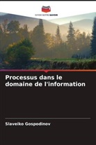 Slaveiko Gospodinov - Processus dans le domaine de l'information