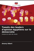 Amany Albert - Tweets des leaders d'opinion égyptiens sur la démocratie