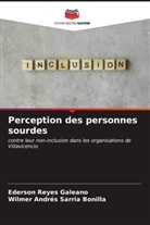 Ederson Reyes Galeano, Wilmer Andrés Sarria Bonilla - Perception des personnes sourdes