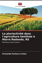 Fernando Pacheco Cortez - La pluriactivité dans l'agriculture familiale à Morro Redondo, RS