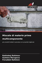 Gulmira Marupova, Feruzbek Rahimov, Rahimboj Rahimov - Miscele di materie prime multicomponente