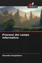 Slaveiko Gospodinov - Processi del campo informativo