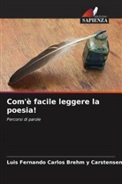 Luis Fernando Carlos Brehm y Carstensen - Com'è facile leggere la poesia!