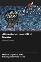 Flavia Judith Pena Sieira, Mónica Alejandra Seta - Attenzione: cervelli al lavoro