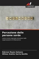 Ederson Reyes Galeano, Wilmer Andrés Sarria Bonilla - Percezione delle persone sorde