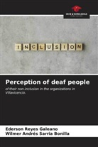 Ederson Reyes Galeano, Wilmer Andrés Sarria Bonilla - Perception of deaf people