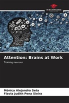 Flavia Judith Pena Sieira, Mónica Alejandra Seta - Attention: Brains at Work