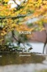 Romeo Costa - KAIZEN