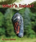 Mary Holland - What's Inside?